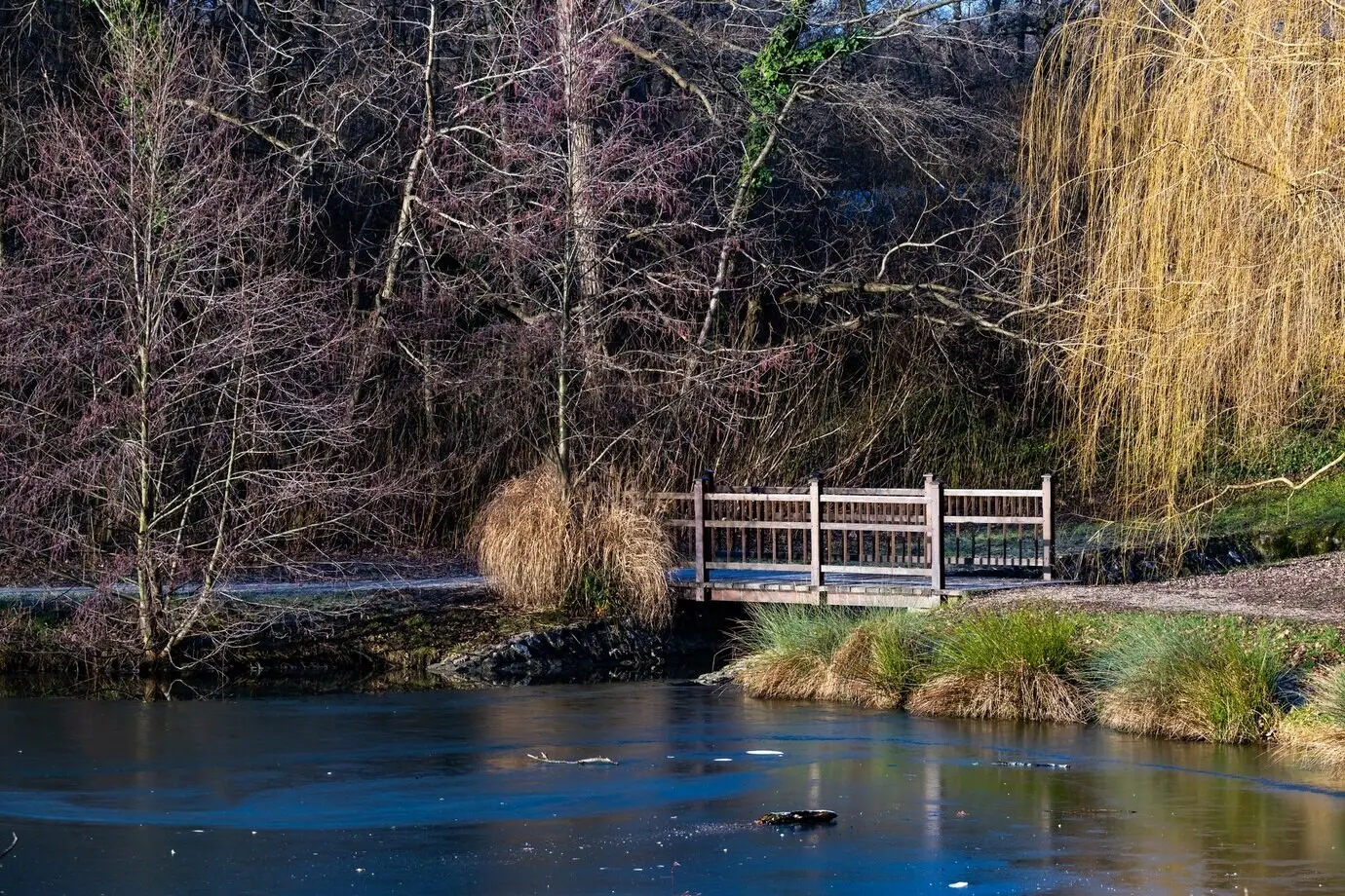Schöne Aufnahme einer kleinen Brücke über einem See im Maksimir-Park in Zagreb, Kroatien, tagsüber.
