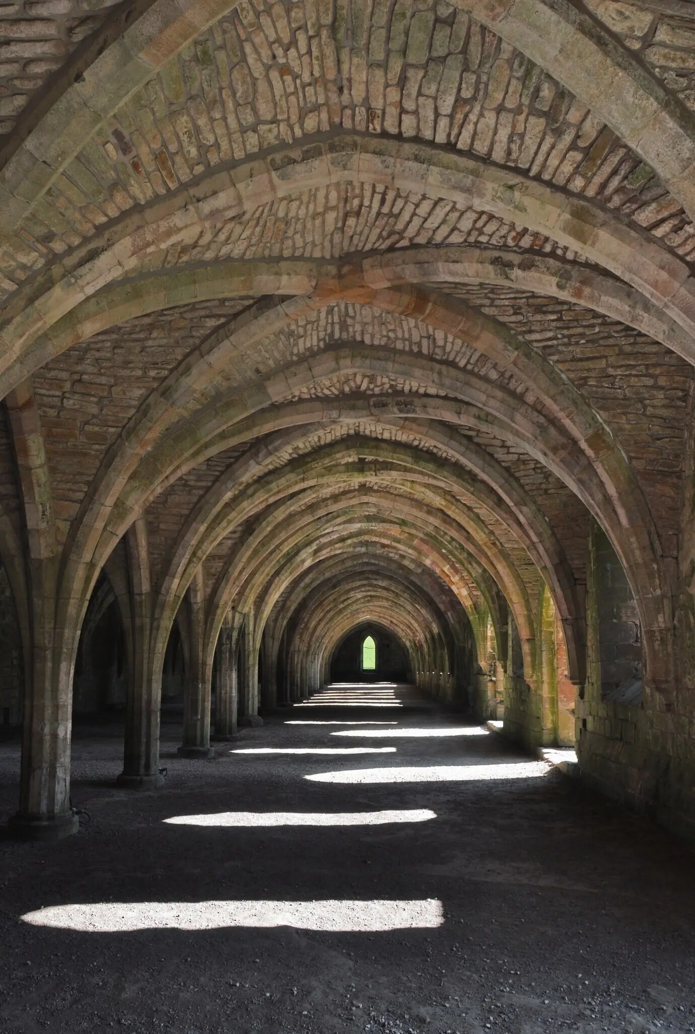 Hochformataufnahme eines Kellers in der Fountains Abbey in Yorkshire, England.